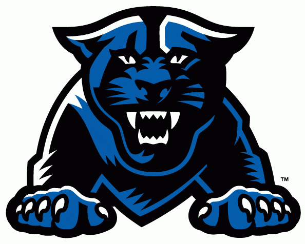 Georgia State Panthers 2010-Pres Partial Logo DIY iron on transfer (heat transfer)